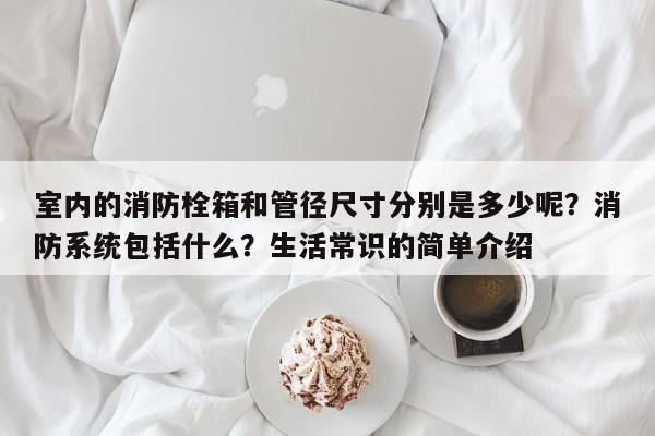 室内的消防栓箱和管径尺寸分别是多少呢？消防系统包括什么？生活常识的简单介绍-第1张图片