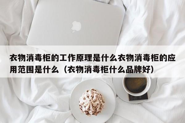 衣物消毒柜的工作原理是什么衣物消毒柜的应用范围是什么（衣物消毒柜什么品牌好）-第1张图片