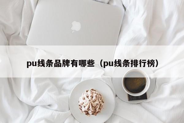 pu线条品牌有哪些（pu线条排行榜）-第1张图片