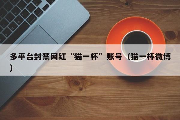 多平台封禁网红“猫一杯”账号（猫一杯微博）-第1张图片