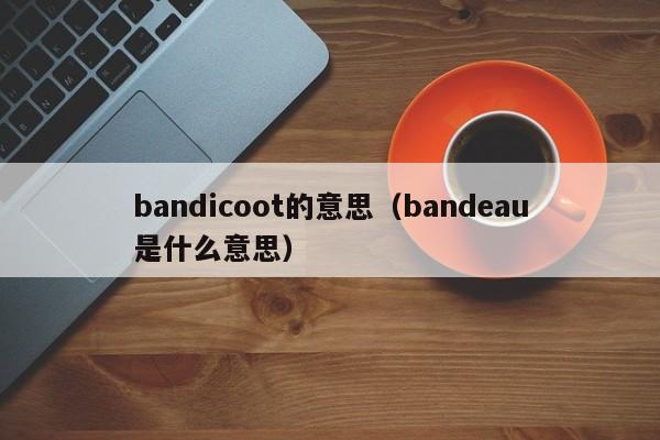 bandicoot的意思（bandeau是什么意思）-第1张图片