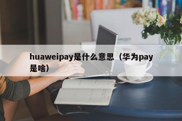 huaweipay是什么意思（华为pay是啥）-第1张图片