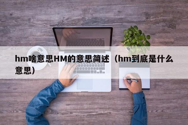 hm啥意思HM的意思简述（hm到底是什么意思）-第1张图片