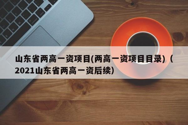 山东省两高一资项目(两高一资项目目录)（2021山东省两高一资后续）-第1张图片