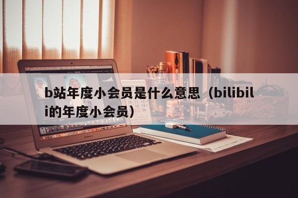 b站年度小会员是什么意思（bilibili的年度小会员）-第1张图片