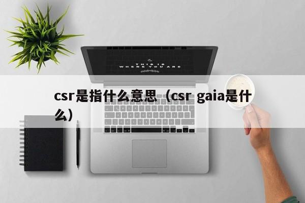 csr是指什么意思（csr gaia是什么）-第1张图片