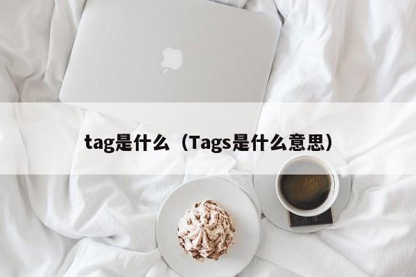 tag是什么（Tags是什么意思）-第1张图片