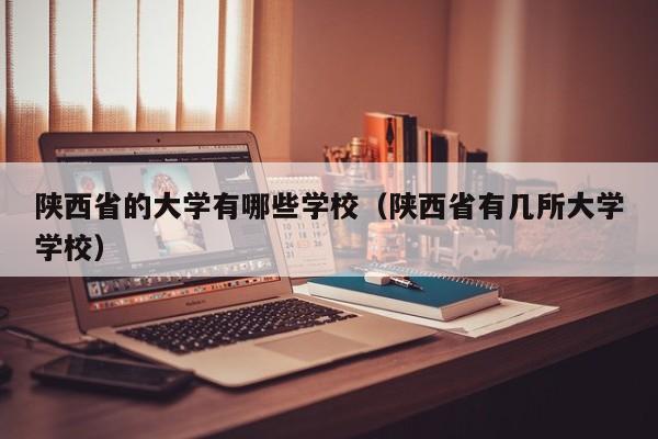 陕西省的大学有哪些学校（陕西省有几所大学学校）-第1张图片